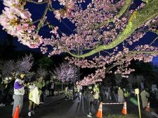 旭川・旭山公園　1〜6日に夜桜まつり