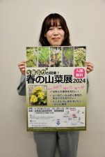 山菜や毒草、触れて学ぼう　札幌で26、27日に100種展示