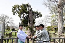 当別神社の開拓記念樹の前で、記念樹の遺伝子を受け付いた苗木を受け取る後藤宮司（左）