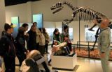 古生物の生態に驚き　三笠市立博物館で「解説ツアー」