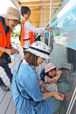 東川に「太古の海」現る　美術家と町民ら協力