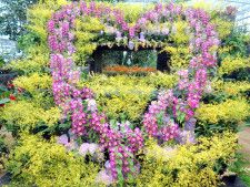 【2/17〜25】多種多様なランの魅力に触れる！「広島市植物公園」で「春の特別ラン展」が開催されます