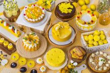 【5/11〜】ヒルトン広島ではちみつ、レモン＆チーズのスイーツビュッフェ『Bee Happy ハニーティーパーティー』開催