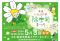 【5/3】「尾道いんのしま除虫菊まつり2024」開催！因島名物の除虫菊を知って楽しもう！