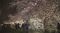満開を迎えた札幌で夜桜ライトアップイベント　10km超の桜並木が光で彩られ　札幌・北区「新川通沿い」