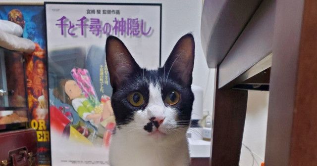 愛猫の座り方が「拙者、猫でござる」。不思議な姿勢を捉えた“奇跡の1枚”に反響