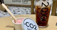 そのアイス、地球にどれだけ負担かけてる？渋谷のカフェが打ち出す新たな「消費の選択基準」