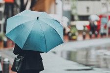 雨の日に気になる、意外と知らないみんなの「傘」事情。自分用の雨傘、いくらのものを何本持ってる？