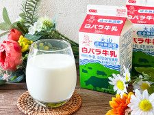  鳥取県のソウルドリンク「白バラ牛乳」とは？ おすすめアレンジレシピをチェック！