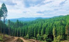 【地方創生SDGs】森林と地熱の地域資源を活用！ 経済とエネルギーの循環を目指す【熊本県小国町】