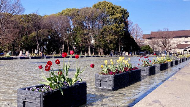 上野｜土日祝日におすすめの駐車場はどこ？「上野パーキングセンター」は安くて予約できて最大400台収容！その他上野公園周辺駐車場も(いろはめぐり) -  goo ニュース