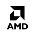 AMDが創立55周年