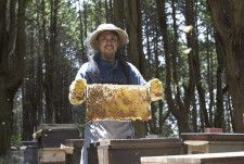 【大阪・和泉】休耕地をミツバチ飛ぶダリア畑に！　希少な天然はちみつ作りに支援呼びかけ
