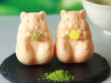 新しい京都土産「手づくりハムスターモナカ抹茶」　餡と金平糖は自分で　山科の老舗和菓子店が展開