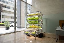 “農業オタク”が開発！　「室内の野菜工場装置」　オフィスや自宅、空いたスペースで農業が可能に