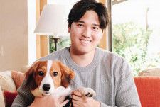 大谷翔平の愛犬グッズが“公式の記述なし”で続々登場、「デコピンの肖像権」を弁護士に聞いた