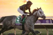 2021年に米年度代表馬に輝いたペインター産駒のニックスゴー。（Photo by Getty Images）
