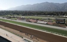 G1サンタアニタダービーが行われた米サンタアニタパーク競馬場。（Photo by Getty Images）