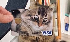 違和感なさすぎる...　愛猫デザインのクレジットカード、本人に合わせてみたらあまりにも「ジャストフィット」すぎた件