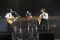 大橋トリオ & THE CHARM PARKが「ギタージャンボリー2024」でライブ！【フォトレポート】