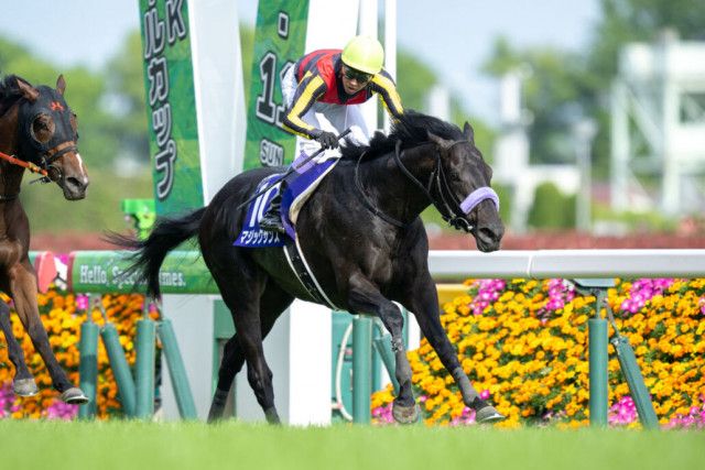 値下対応可☻コメント欄にて】武豊ジョッキー、スポーツ紙記事まとめ