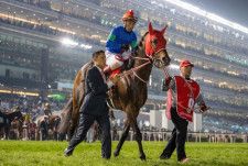 2023アイリッシュチャンピオンステークス（G1）に日本馬が予備登録