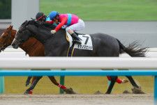 【新馬/京都4R】ジョーカプチーノ産駒 キタノズエッジが接戦を制する…断然人気ジェネラーレは敗退