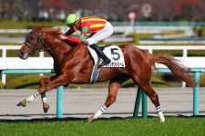 【新馬/阪神5R】エピファネイア産駒 ビザンチンドリームが3馬身差完勝