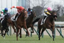 【新馬/東京5R】ドゥラメンテ産駒 マルコタージュがデビュー勝ち