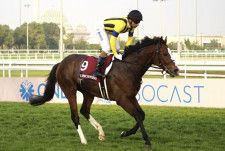 【カタール・アミールトロフィー】日本馬最先着はゼッフィーロの2着…レベルスロマンスが逃げ切る