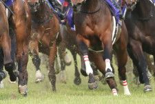 河嶋宏樹調教師 JRA初勝利…「人も馬も長く活躍できるような厩舎にしたい」