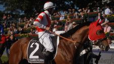 香港チャンピオンズデー出走予定の日本馬が発表…オオバンブルマイ、プログノーシスなど