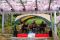 【倉敷市】阿智神社 藤見の会（2024年4月20・21日開催）〜 県天然記念物のアケボノフジ「阿知の藤」とともに、日本の伝統文化を楽しむお祭り
