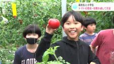 「とったど〜！」「でかいなぁ、これはでかい」高校生と小学生　トマトの栽培・収穫を通して交流