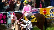 負け組の星「ハルウララ」の連敗記録“113”が破られる 佐賀競馬の