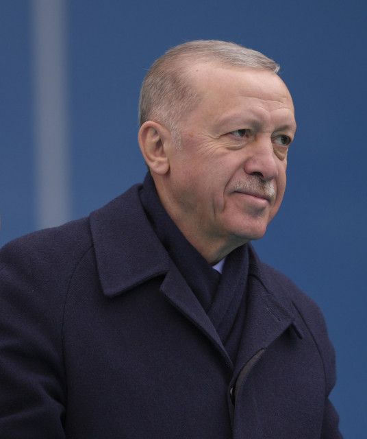 トルコ大統領も哀悼の意　プーチン氏と電話会談