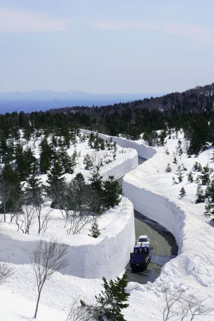 青森に春の訪れ「雪の回廊」　十和田湖結ぶ道路、開通へ