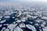 北極海の氷、30年代に消失も　融解が加速、国際研究チーム分析
