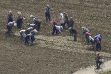 北朝鮮義州郡の畑で農作業する住民ら＝2021年6月、中国遼寧省丹東から撮影（共同）