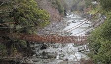 徳島の「祖谷のかずら橋」3年ぶり架け替え　海外でも知名度、観光客回復に期待