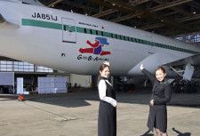 ベアジャパンの女性活躍支援プロジェクトのロゴが描かれた「ジップエア　トーキョー」の旅客機＝4日午後、成田空港