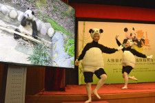 オンライン交流会で画面に映し出されたシャンシャンのライブ映像と、踊りを披露する人たち＝9日午前、東京都港区の在日中国大使館