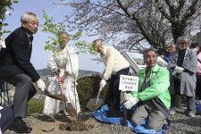 宮城県気仙沼市の神社で、「熊谷桜」の苗木を植樹する関係者ら＝14日午後