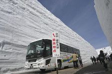 「立山黒部アルペンルート」が全線開通し、雪壁の間を進むバス＝15日午前、富山県立山町