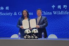 19日、北京で行われた米西部サンフランシスコとのジャイアントパンダ保護に向けた調印式（AP＝共同）