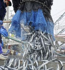 24年サンマ漁獲枠、6％削減　最少、不漁で影響限定的か
