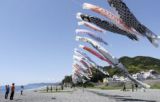 こいのぼり250匹元気に、三重　新団体が催し継承、熊野の海岸