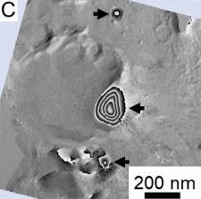 初期太陽系の磁場情報を記録か　りゅうぐうから採取した砂を分析