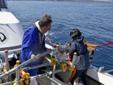 輪島海底に長さ2キロの段差　高さ3メートル超、九大調査