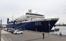 新型母船の関鯨丸がクジラ初捕獲　体長13メートル、千葉・銚子沖